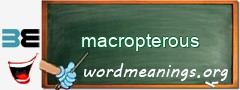 WordMeaning blackboard for macropterous